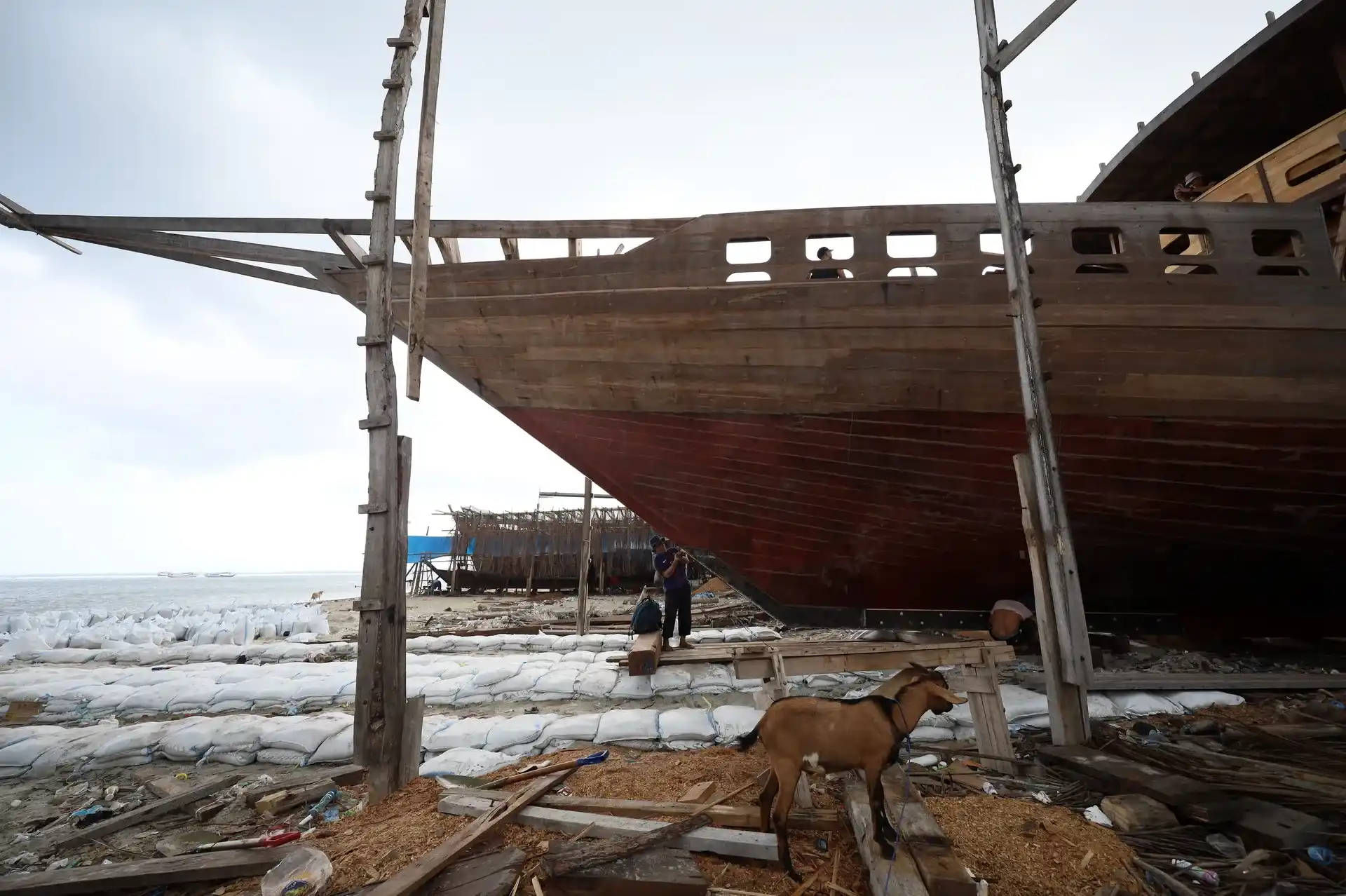 5 Traditional Boats in Indonesia That Showcase Maritime Heritage